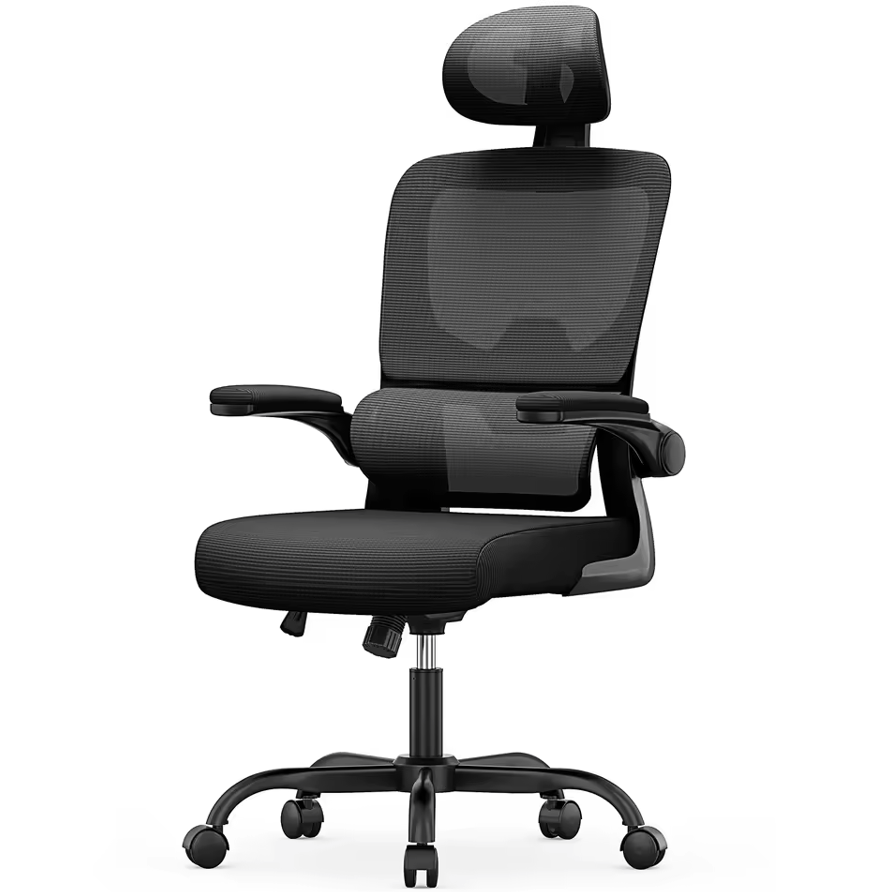Chaise de bureau "Renji S300"